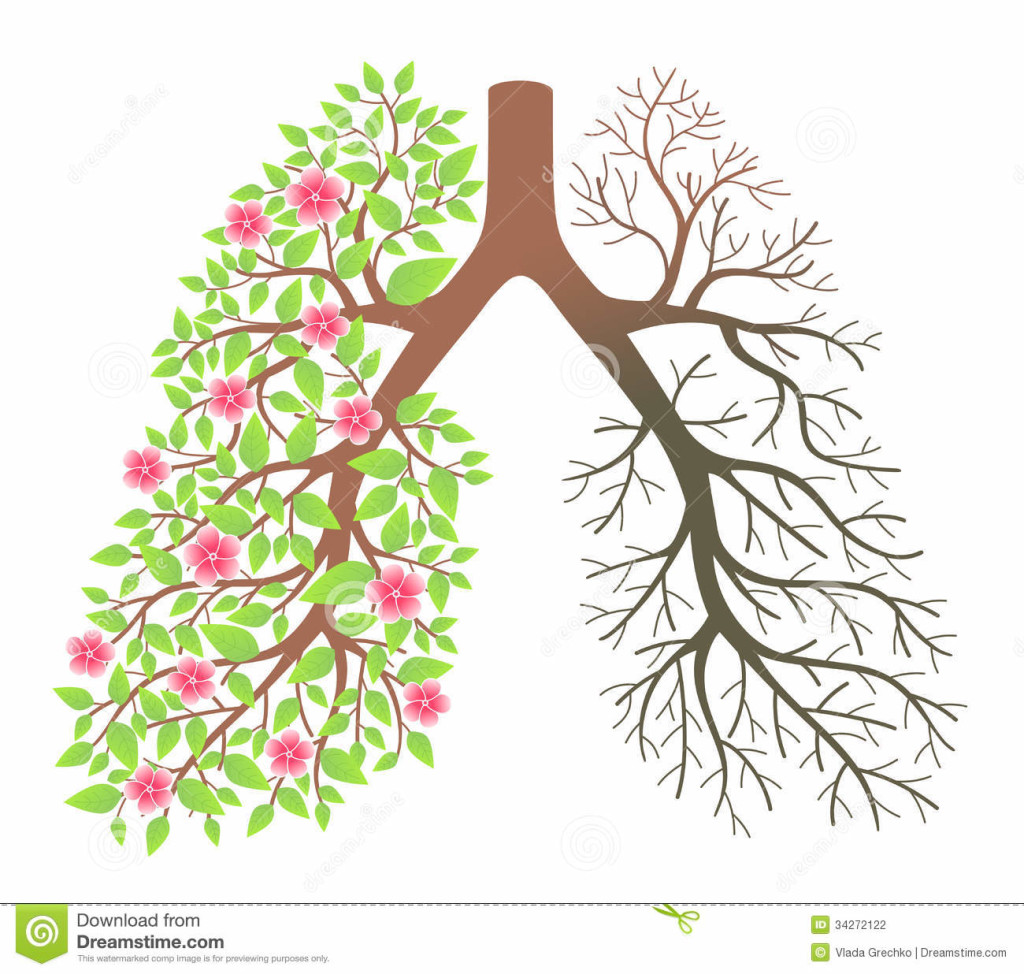 Очищение лёгких после курения