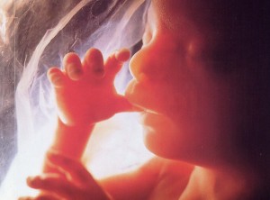 Курение вызывает ряд заболеваний